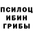Псилоцибиновые грибы мицелий Linda J.
