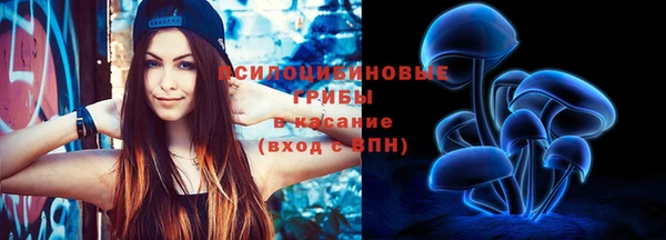 стафф Медвежьегорск