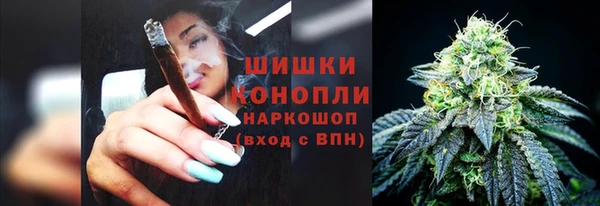 МДПВ Мегион