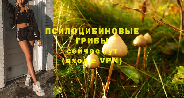 герыч Медногорск