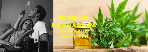 МДПВ Мегион