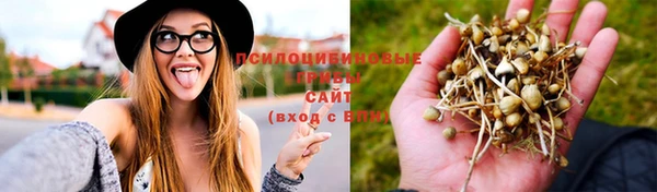 герыч Медногорск