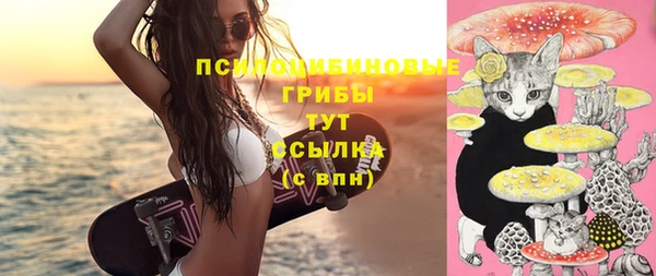 стафф Медвежьегорск