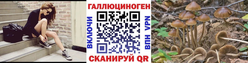 Галлюциногенные грибы Psilocybine cubensis  где купить   Талица 